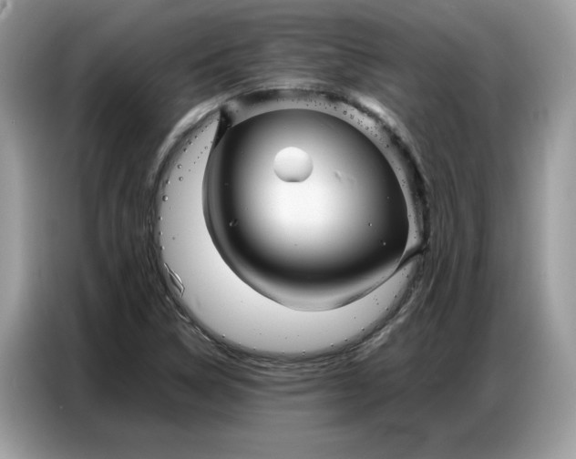 X0000086741314200704271642