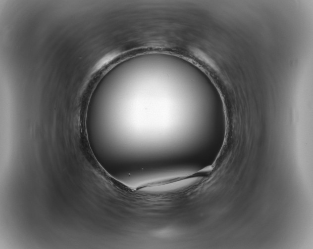 X0000086741315200704271642