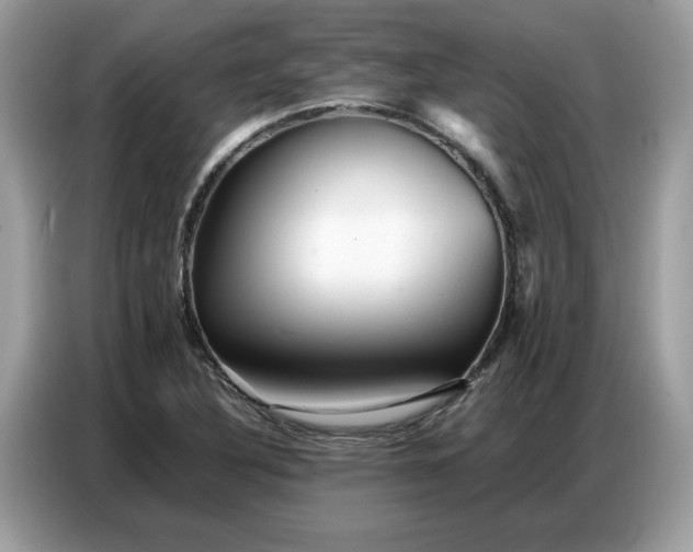 X0000086741316200704271642