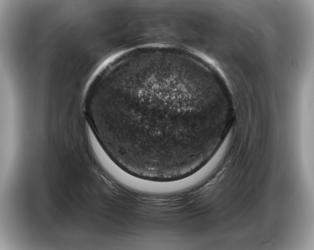 X0000086741319200704271642