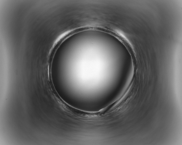 X0000086741320200704271642