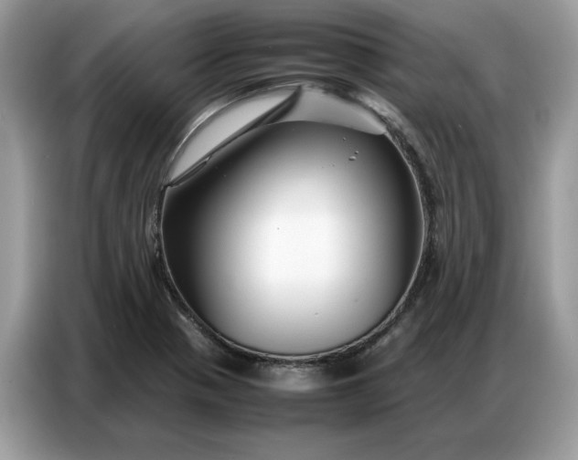 X0000086741321200704271642