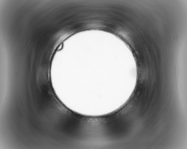 X0000086741322200704271642