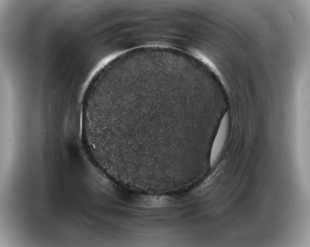 X0000086741323200704271642