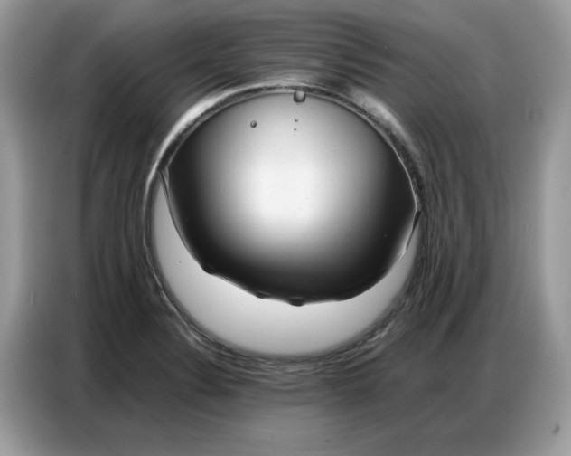 X0000086741324200704271642