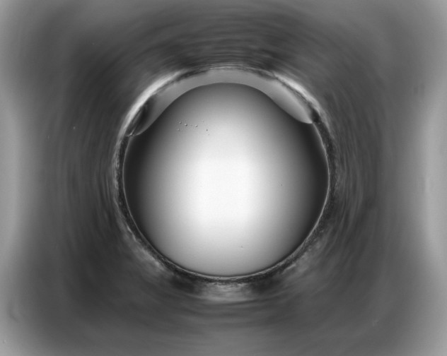 X0000086741325200704271642