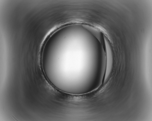 X0000086741326200704271643