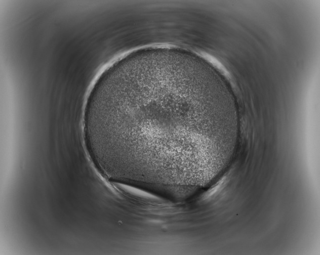 X0000086741327200704271643