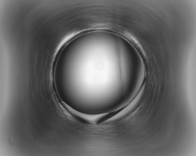 X0000086741328200704271643