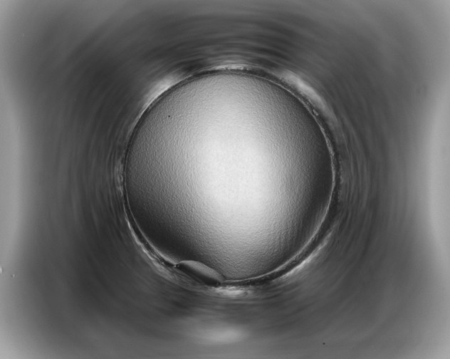 X0000086741329200704271643