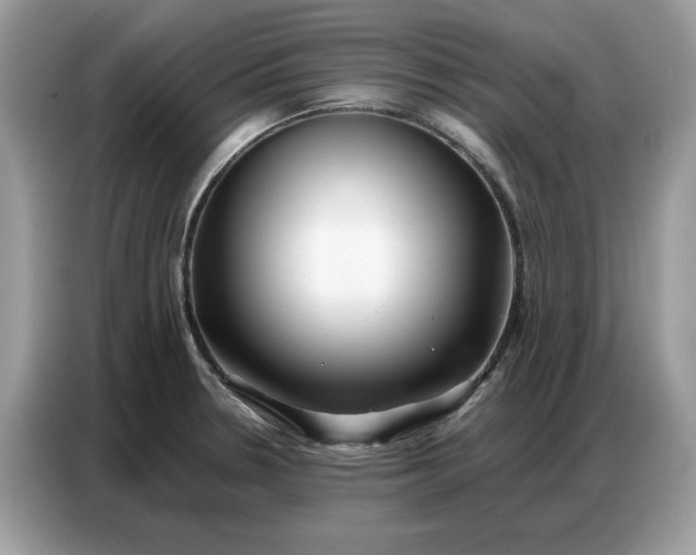 X0000086741330200704271643