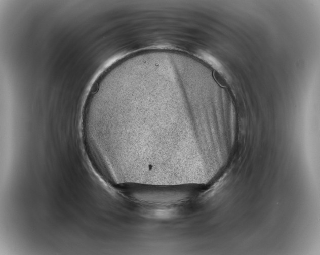 X0000086741331200704271643