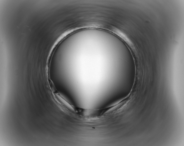 X0000086741332200704271643