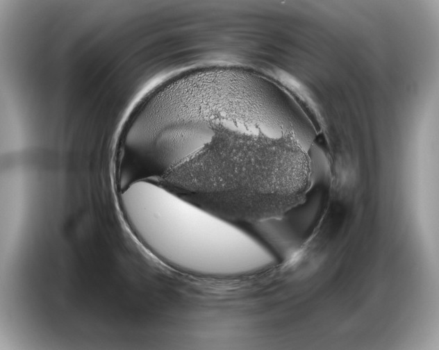 X0000086741334200704271643