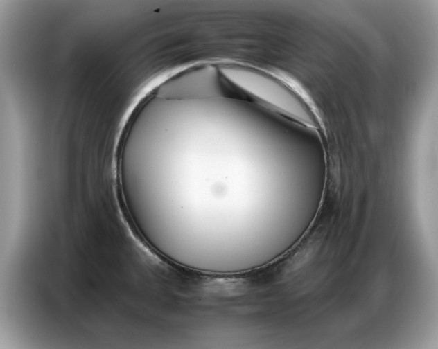 X0000086741335200704271643