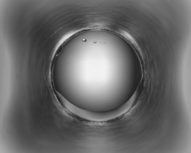 X0000086741336200704271643