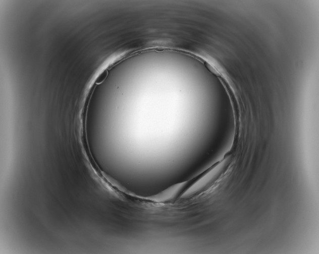 X0000086741341200704271643