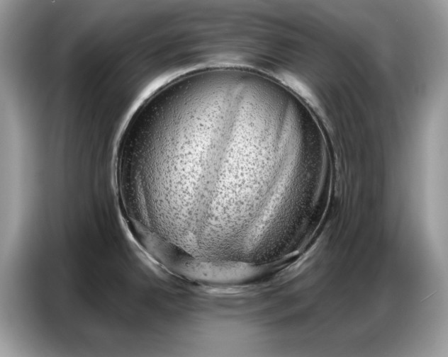 X0000086741342200704271643