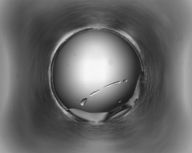 X0000086741343200704271643