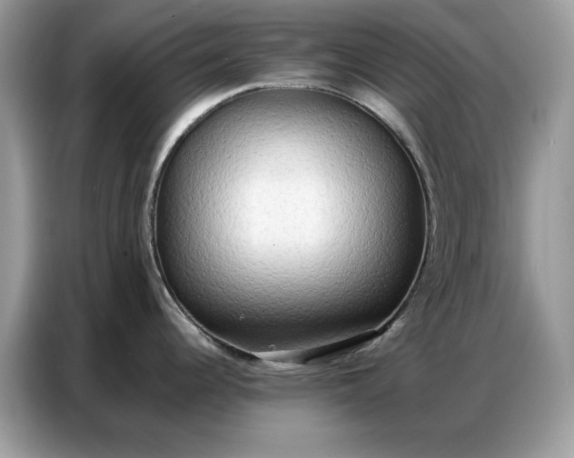 X0000086741344200704271643