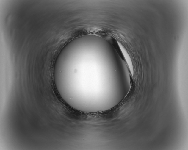 X0000086741345200704271642