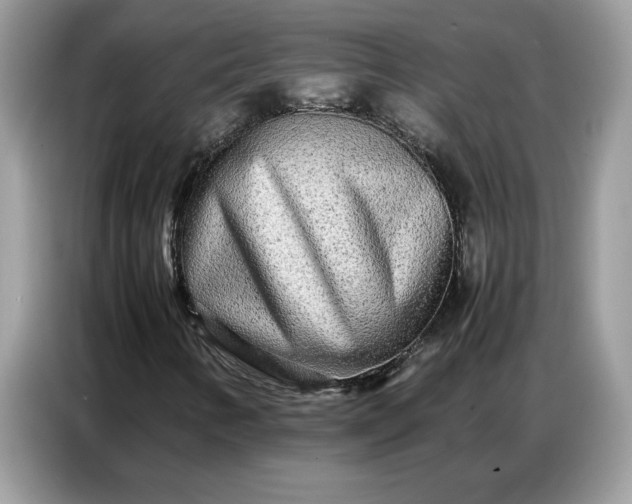 X0000086741346200704271642