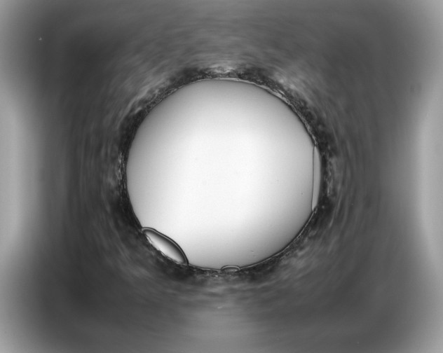 X0000086741349200704271642