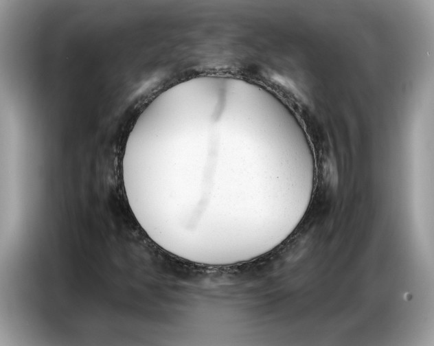 X0000086741350200704271642