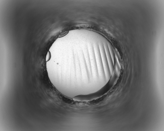 X0000086741351200704271642