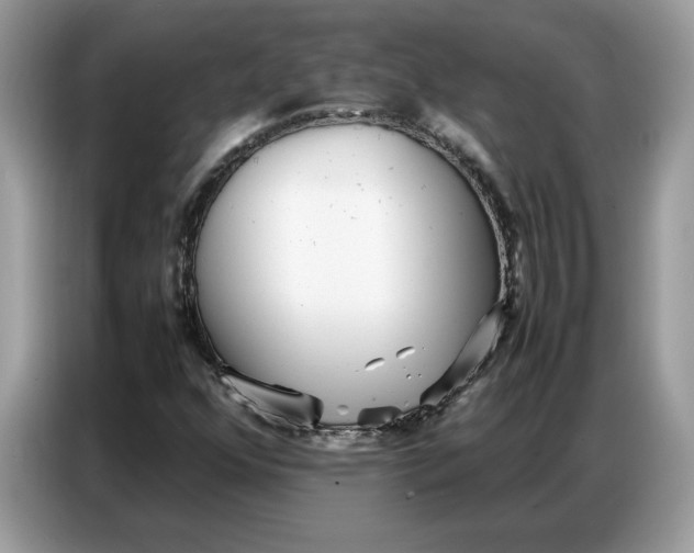 X0000086741352200704271642