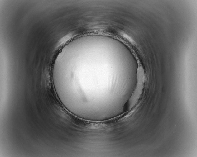 X0000086741354200704271642