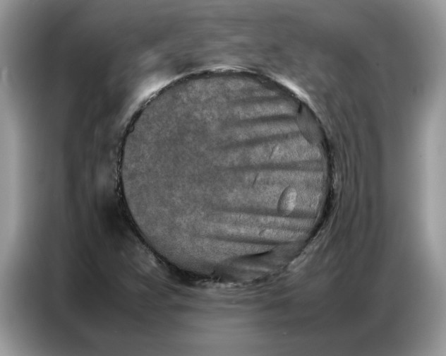 X0000086741359200704271642