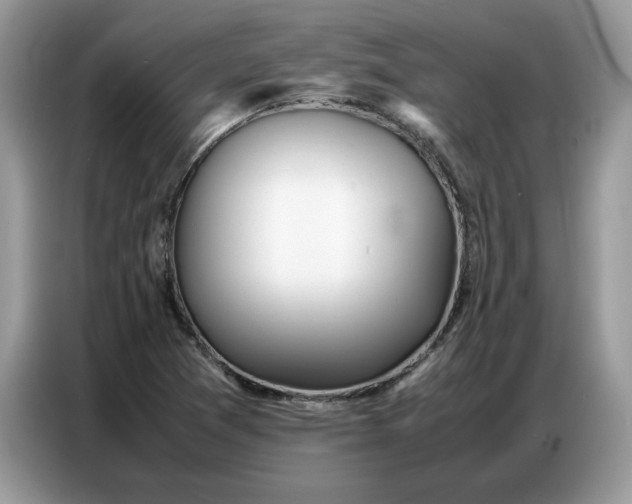 X0000086741361200704271642