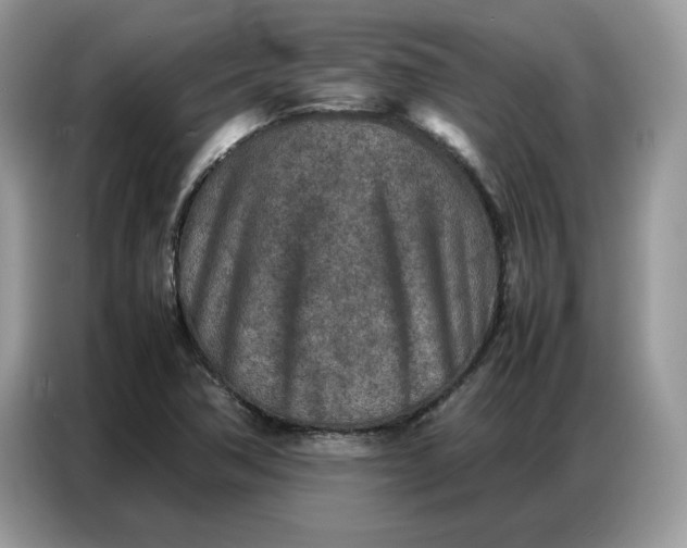 X0000086741362200704271642