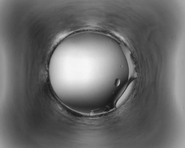 X0000086741363200704271642