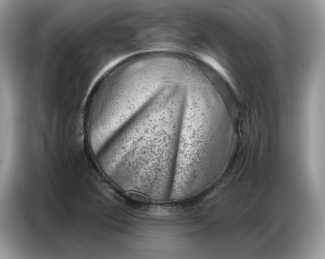 X0000086741364200704271642