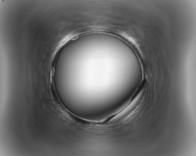 X0000086741365200704271642