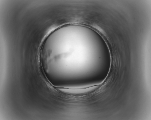 X0000086741366200704271642