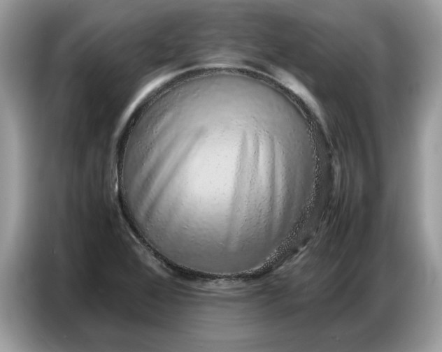 X0000086741368200704271642