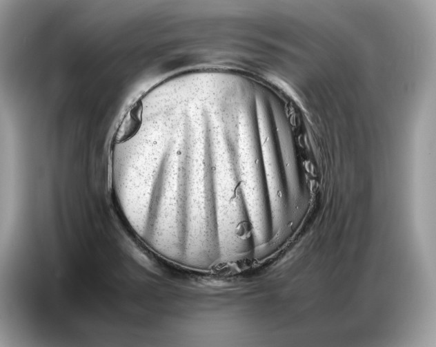 X0000086741371200704271642