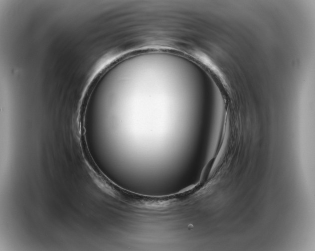 X0000086741372200704271642