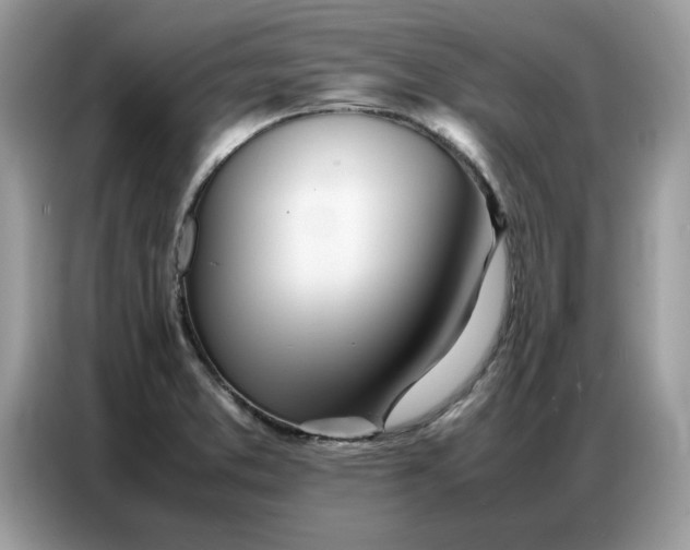 X0000086741373200704271642