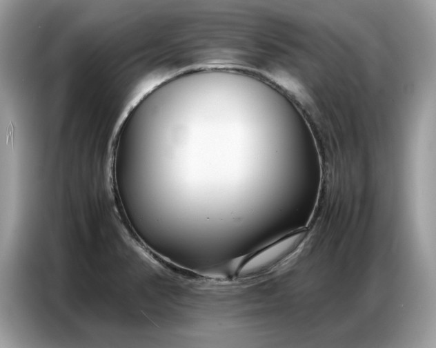 X0000086741374200704271642