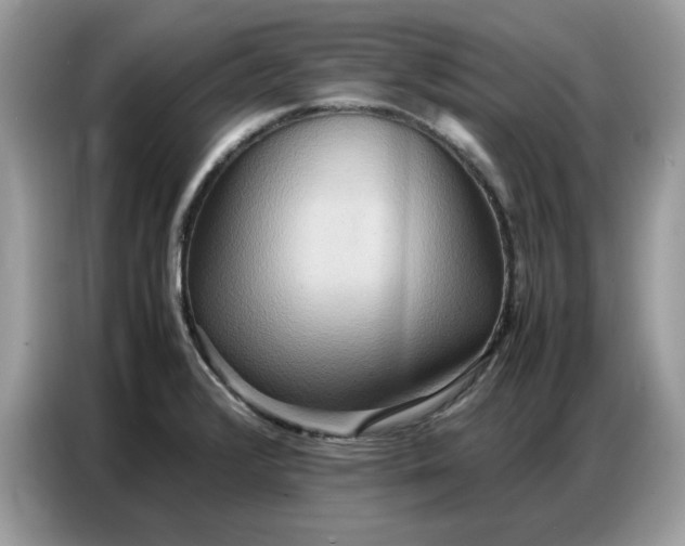 X0000086741376200704271642