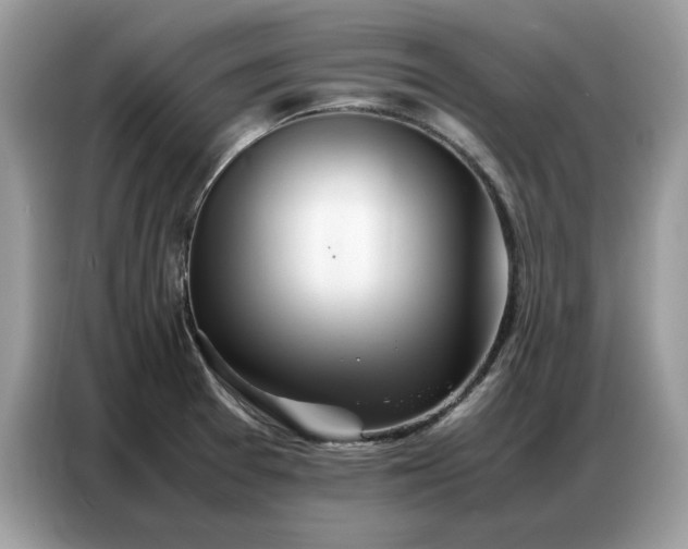 X0000086741377200704271642