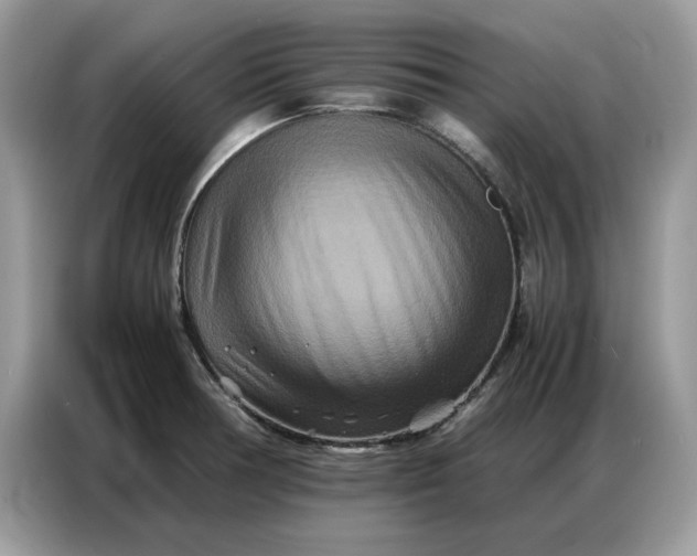 X0000086741378200704271642