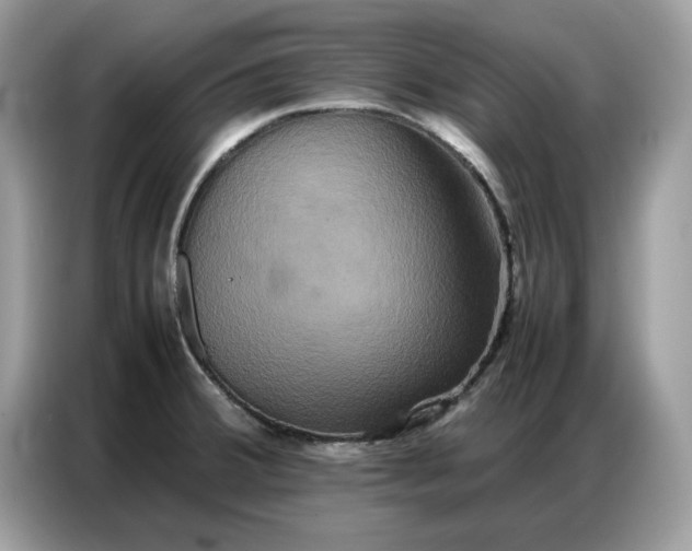 X0000086741380200704271642