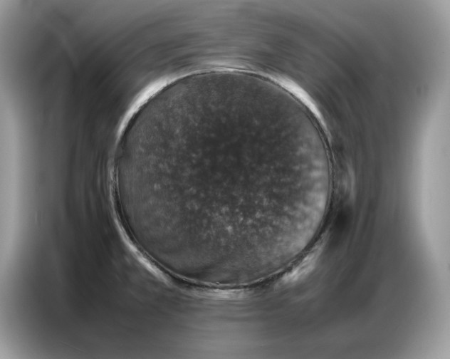 X0000086741381200704271642