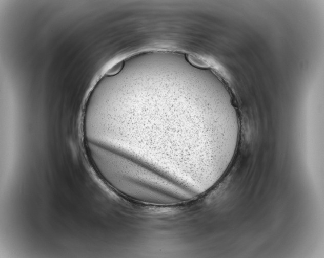 X0000086741382200704271642