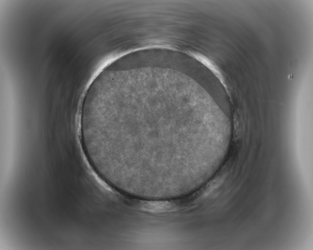 X0000086741383200704271642